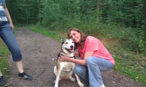 Singletreff hameln